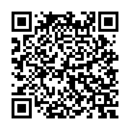 QR code for plate 490 2NS