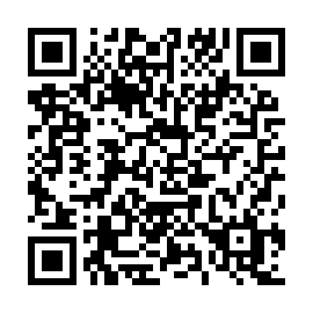 QR code for plate 490 YSL