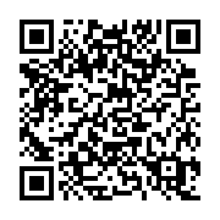 QR code for 491 CZG