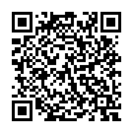 QR code for 491 FYS