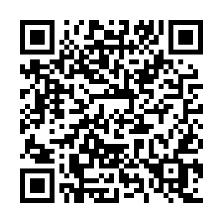 QR code for 491 LUF