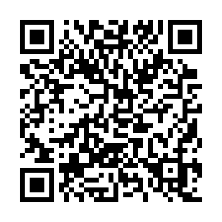 QR code for plate 491 3SJ