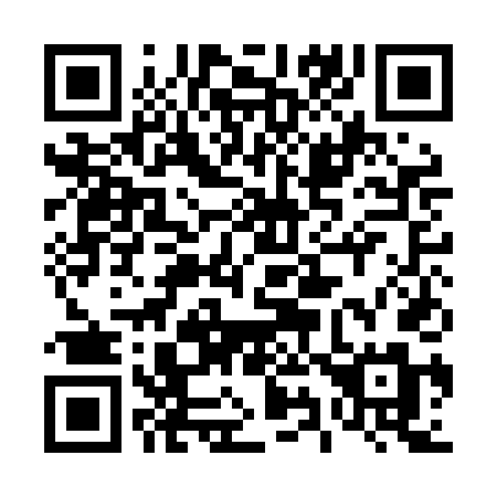 QR code for plate 491 LDM