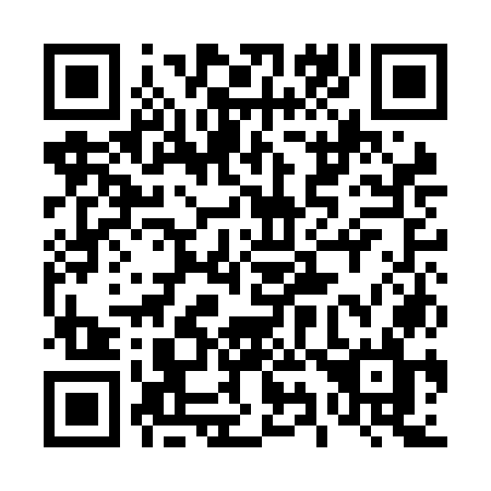 QR code for plate 491 NOL