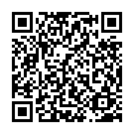 QR code for plate 491 ZCR