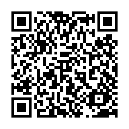 QR code for plate 492 DZO