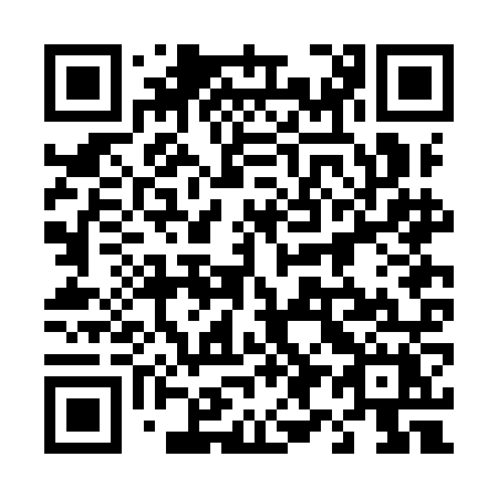 QR code for plate 492 INX