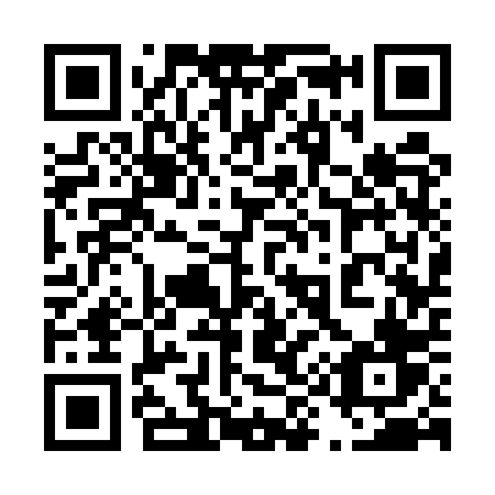 QR code for 493 5PV