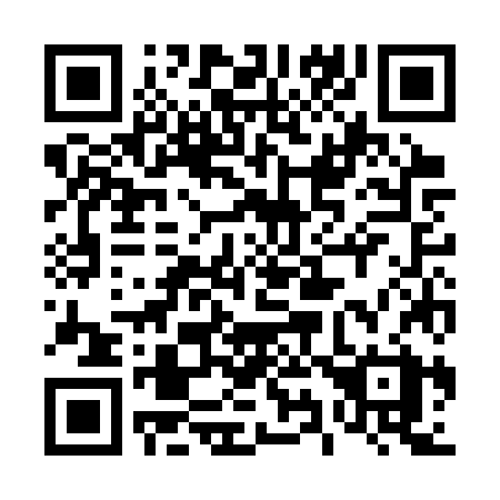 QR code for 493 CZX