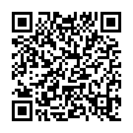 QR code for 493 HCK