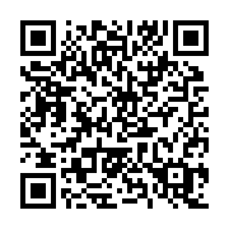 QR code for 493 JSG