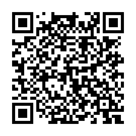 QR code for 493 NEI