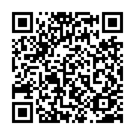 QR code for 493 NPP