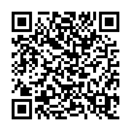 QR code for 493 PWD
