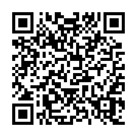 QR code for 493 RUV