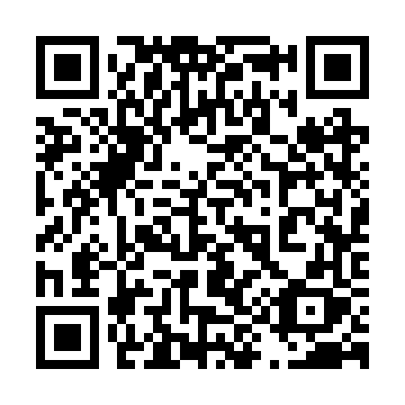 QR code for plate 493 2VX