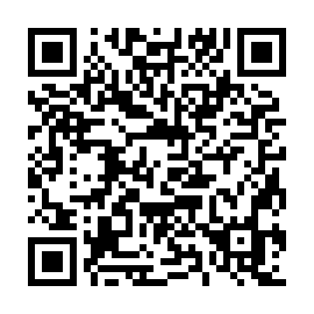 QR code for 4938NO