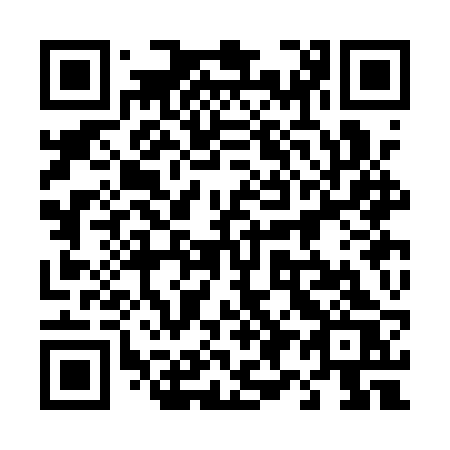 QR code for 493ARS