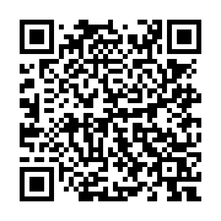 QR code for 493NNS