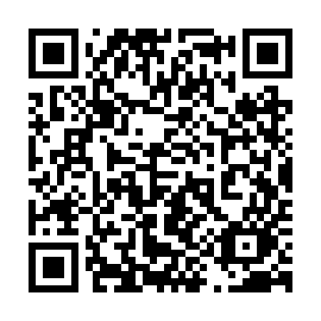QR code for 493RUO