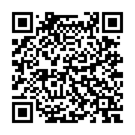 QR code for plate 493 TER