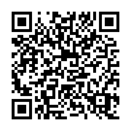 QR code for plate 493 XRV