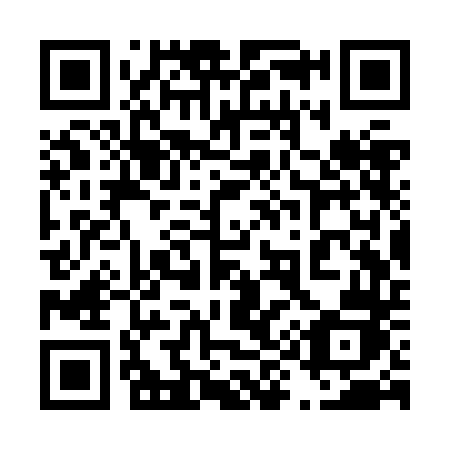 QR code for plate 493 ZDJ