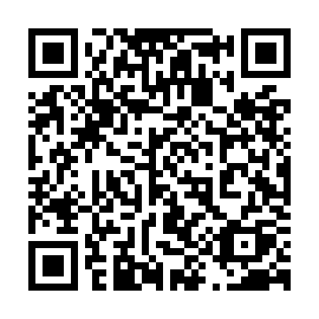 QR code for plate 494 OKQ