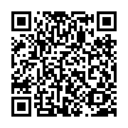 QR code for 495 BIZ