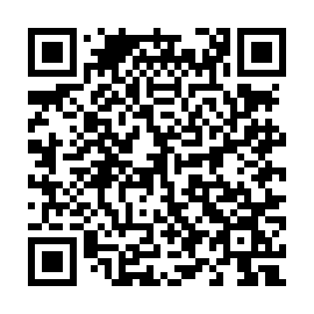 QR code for 495 LNN