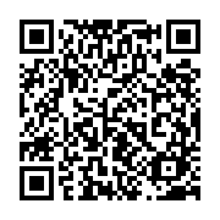 QR code for 495 UDM