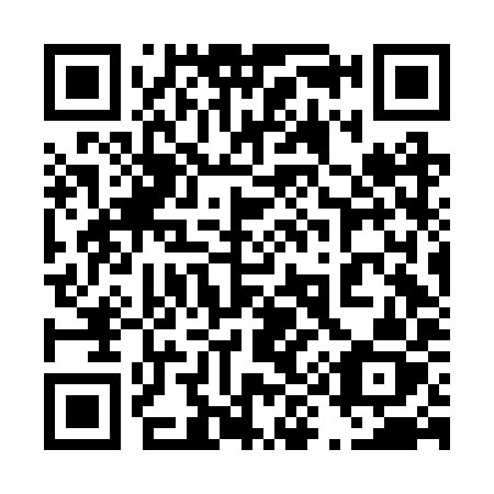 QR code for plate 496 BYZ
