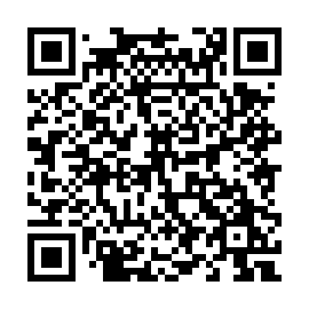 QR code for plate 498 4PO