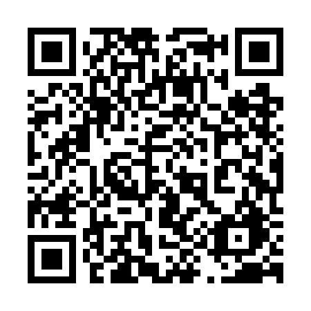 QR code for plate 498 GBG
