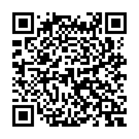 QR code for plate 498 KGB