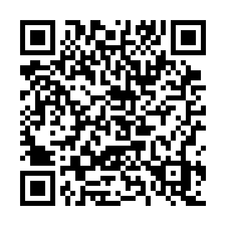 QR code for plate 498 SBZ
