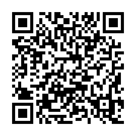 QR code for plate 499 1XO