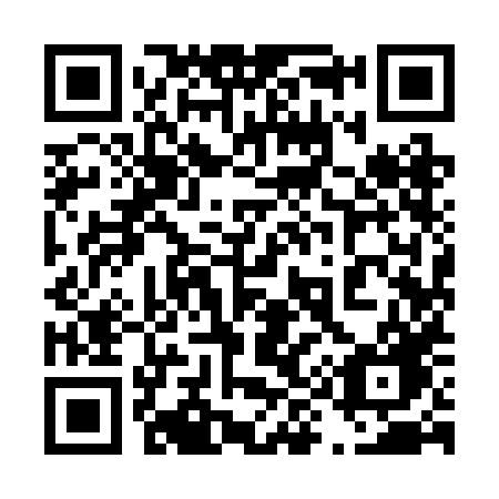 QR code for plate 499 2HG