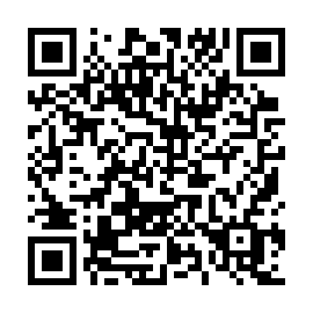 QR code for 4993SF