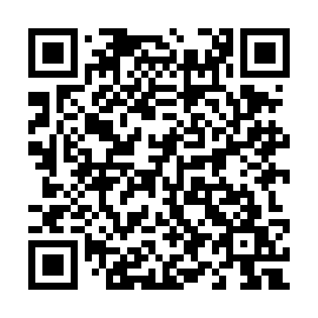 QR code for plate 499 DKW