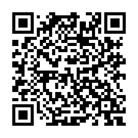 QR code for plate 499 HBU