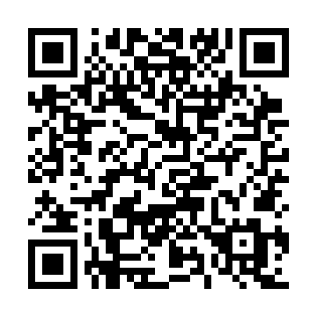 QR code for plate 499 SNM
