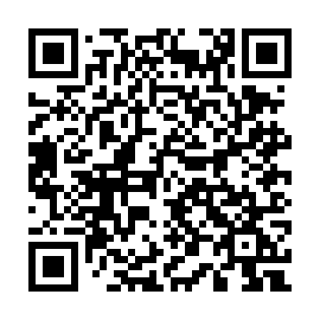 QR code for plate 500 DOG