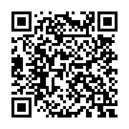 QR code for plate 500 LQY