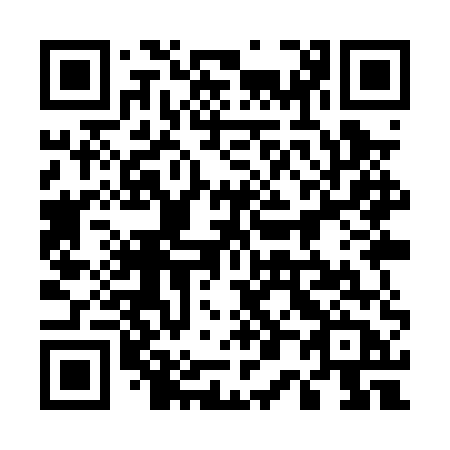 QR code for 509 PUB