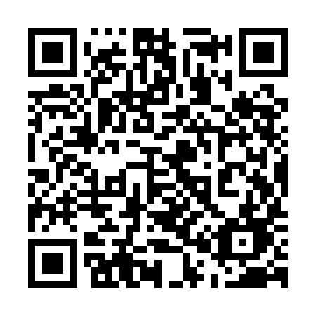 QR code for 509 QID