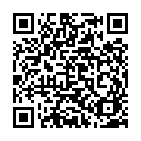QR code for plate 509 EUC