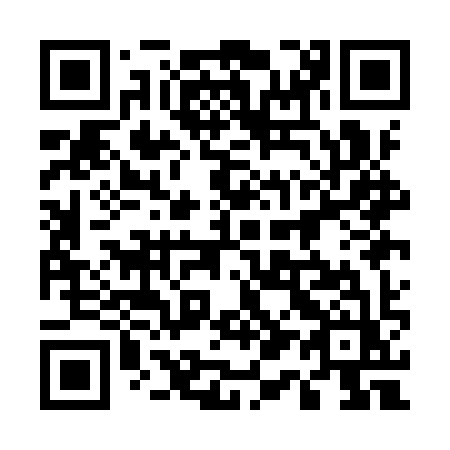 QR code for plate 511 IYZ