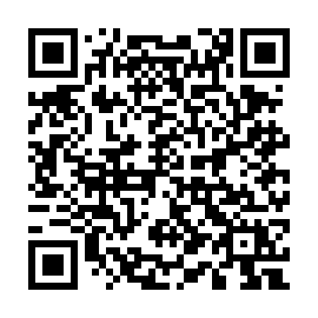 QR code for 517 DGX