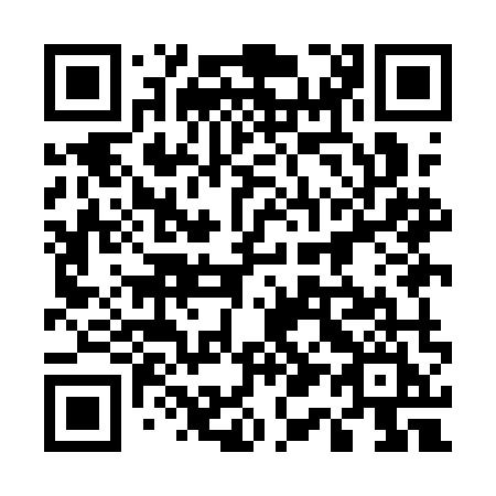 QR code for plate 519 AMI